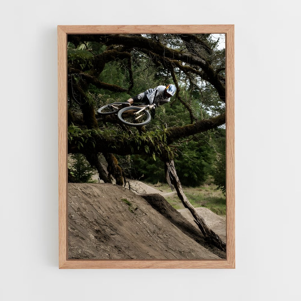 Poster Brandon de semenuk – affiche Cyclisme (vue 4)